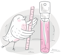 Scentbird Perfume Case