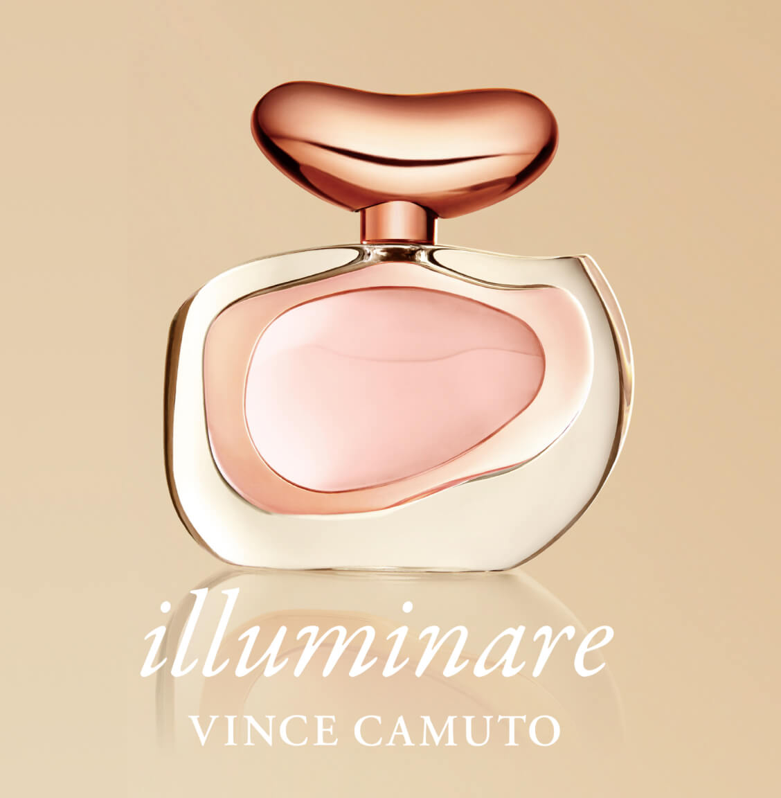  Vince Camuto Terra Extreme Eau de Parfum Spray Cologne for Men,  3.4 Fl Oz : Vince Camuto: Beauty & Personal Care
