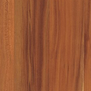 Plum Wood Plum Wood