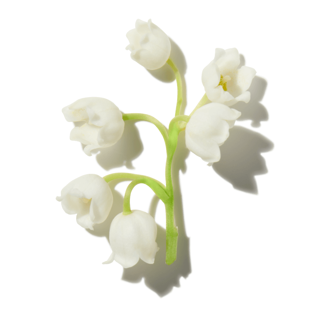 Jade888 by エルメティカ オー ド パルファム リフィル 3.3oz 100ml スプラッシュ 新しい ボックス付き 【ふるさと割】