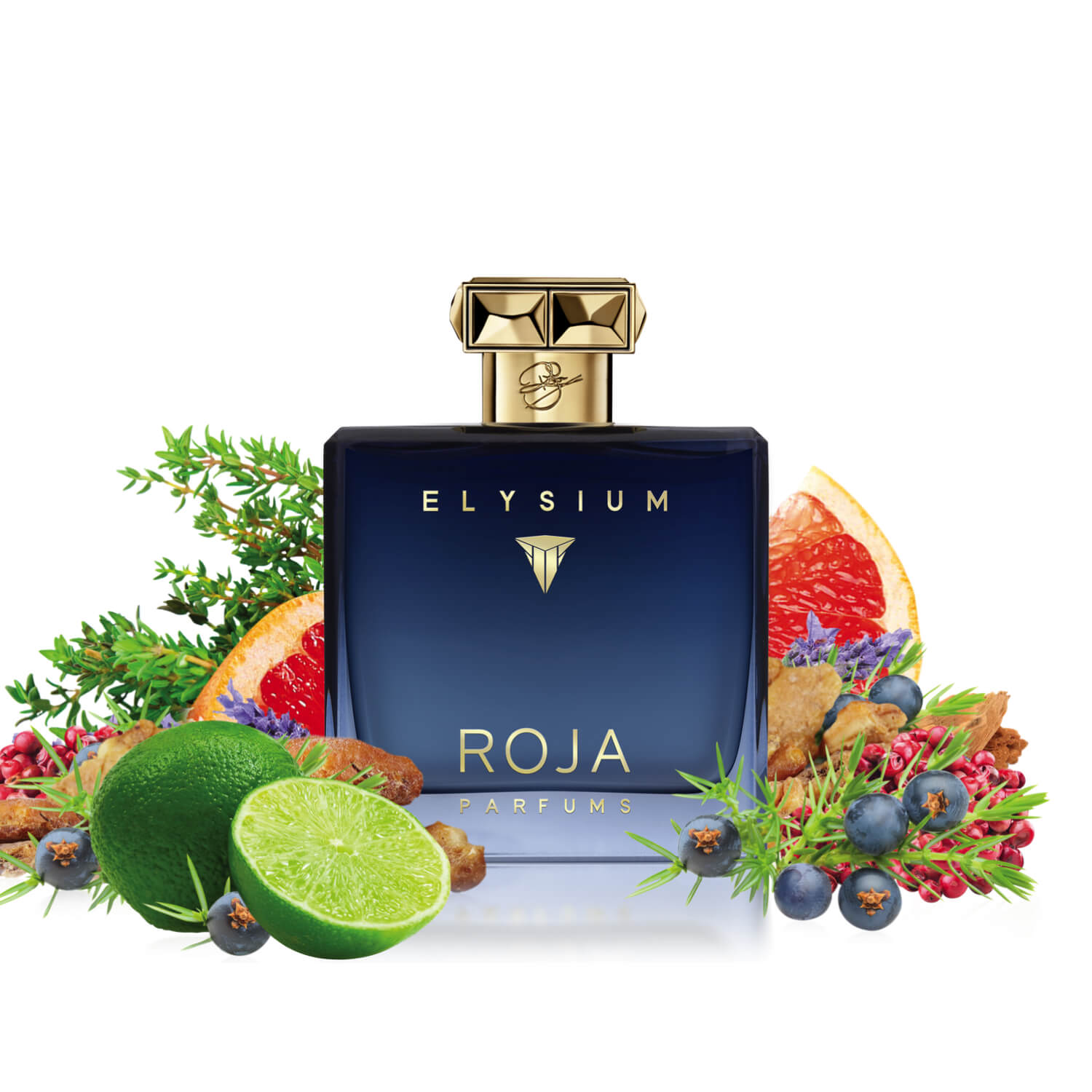 Elysium roja parfums new arrivals