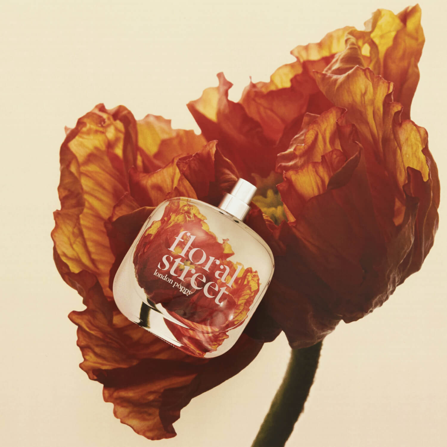 floral street london poppy perfume