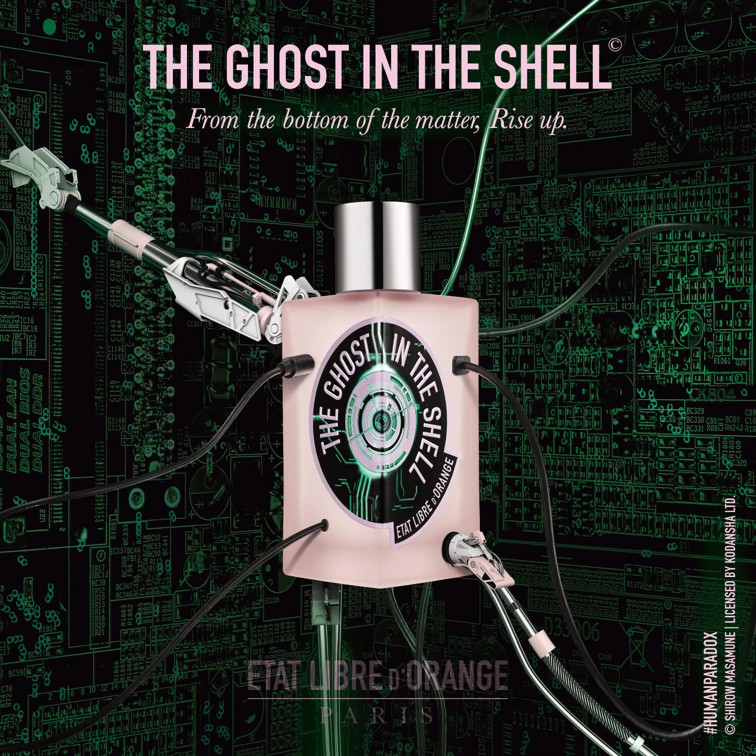 The Ghost In The Shell